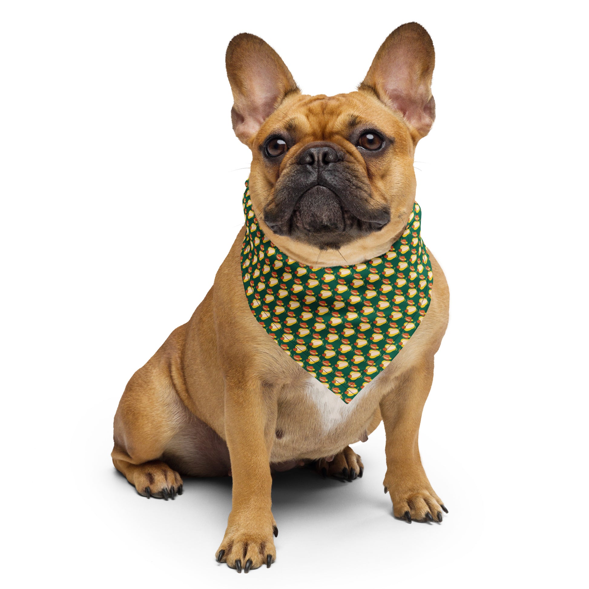 pet-match-bandana-small-size